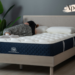 what is an olympic queen mattress